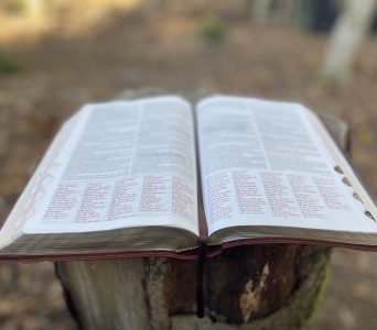 Neuer Plan für die Bibelstunde des CVJM ist online